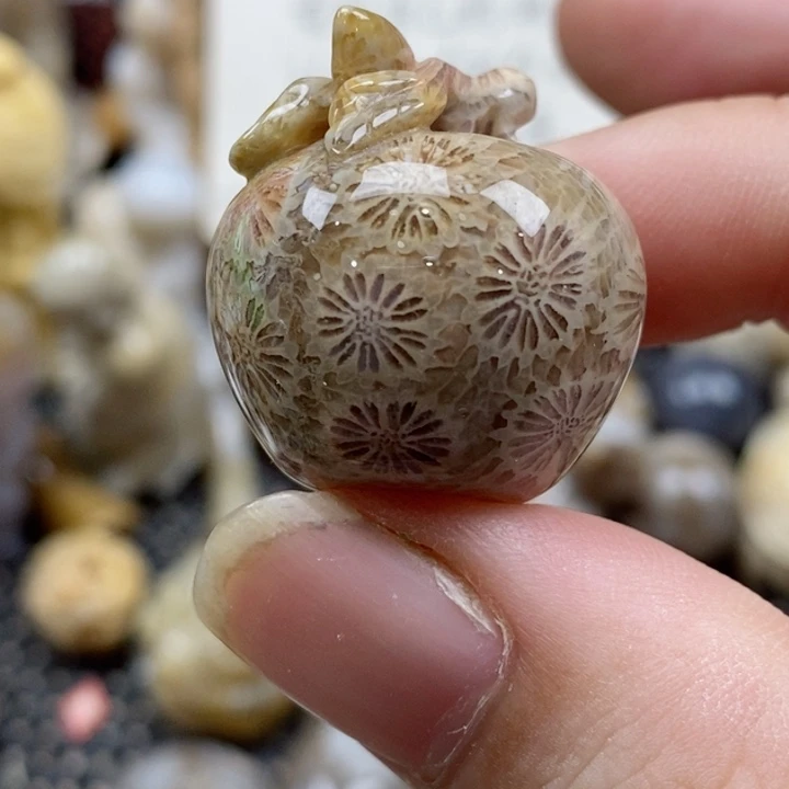 颈饰未镶嵌硅化珊瑚（珊瑚玉）