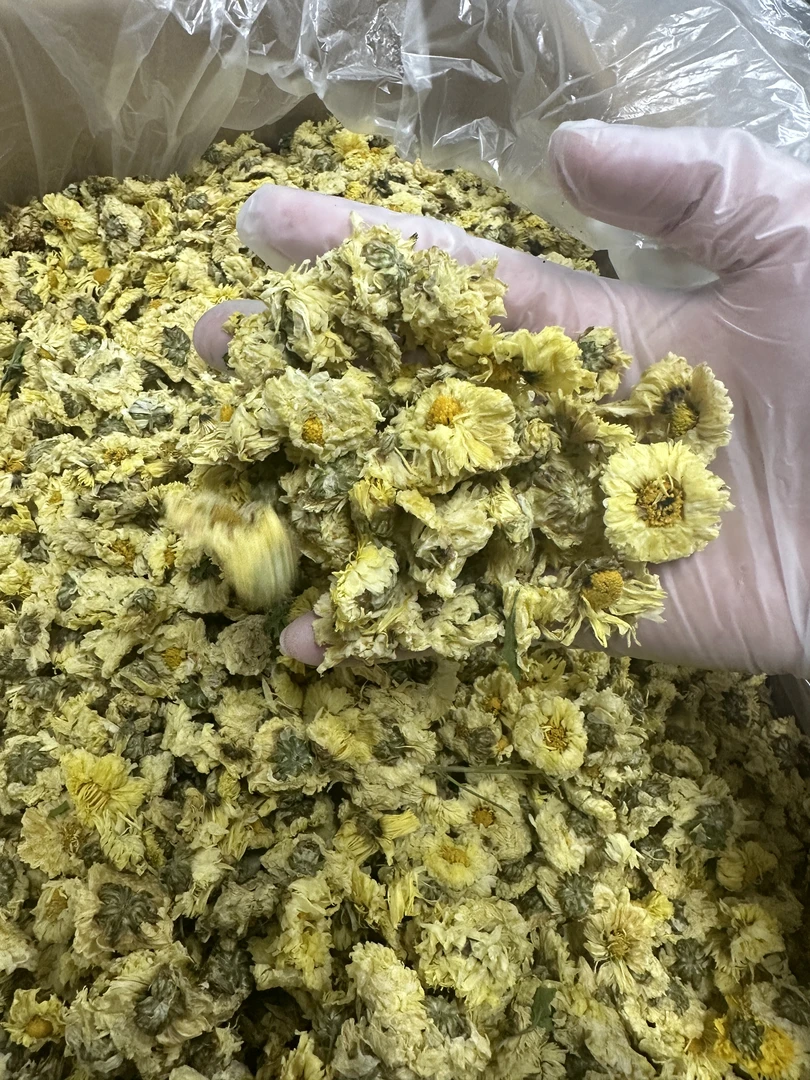 【璇姐推荐】精选杭白菊    可搭配枸杞