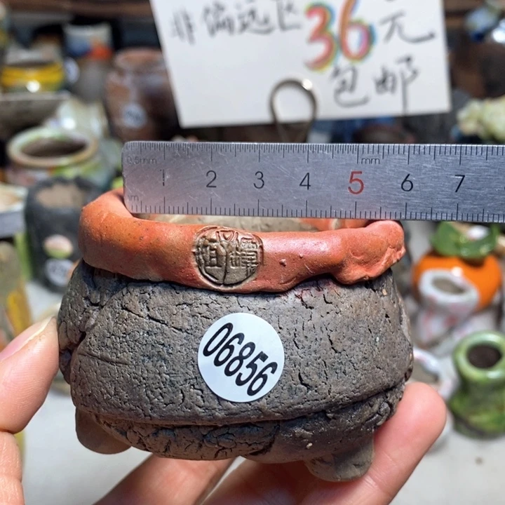 拍3送一个小礼物花盆