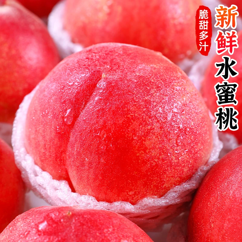 【脆甜多汁】新鲜水蜜桃2-8.5斤桃子金秋红蜜桃香甜毛桃非油桃水果