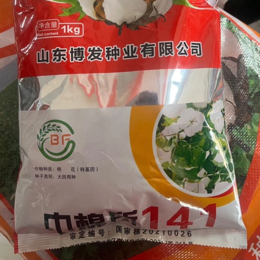 夏播棉 中棉所141花种