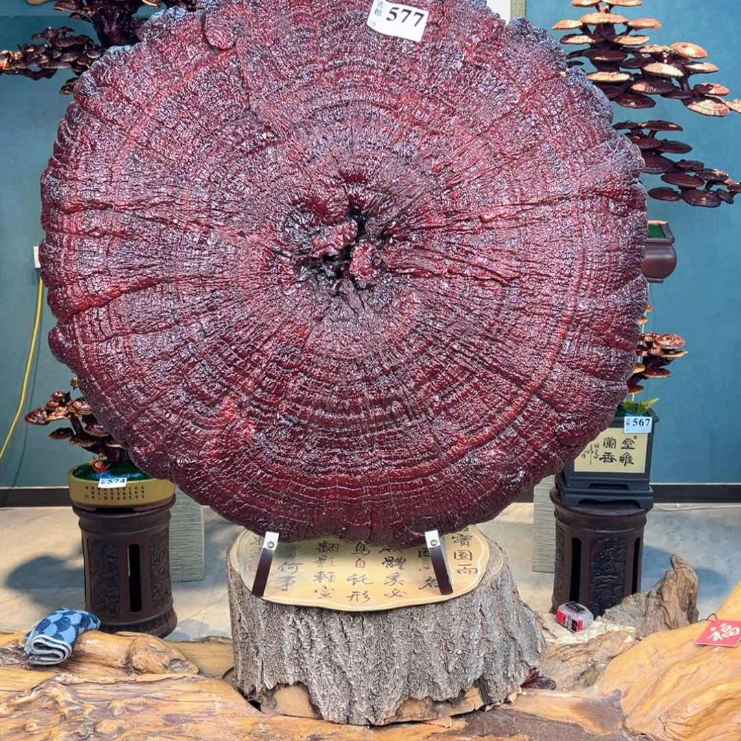 无花朵8688866888888