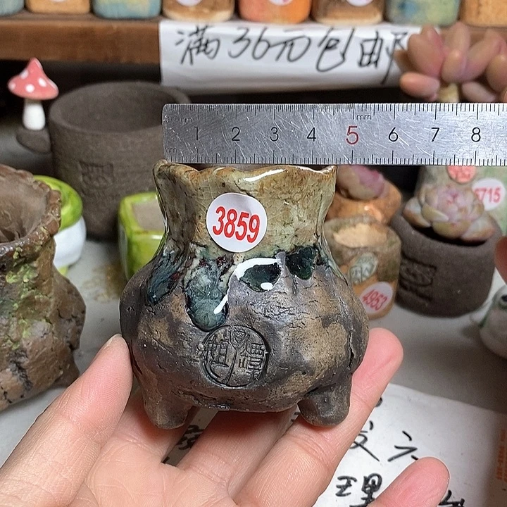 红陶拍5送一个小