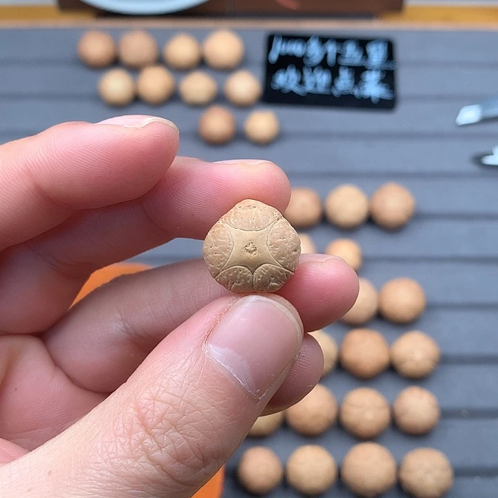 吊坠凤眼菩提17+五星，非质量问题开孔不退
