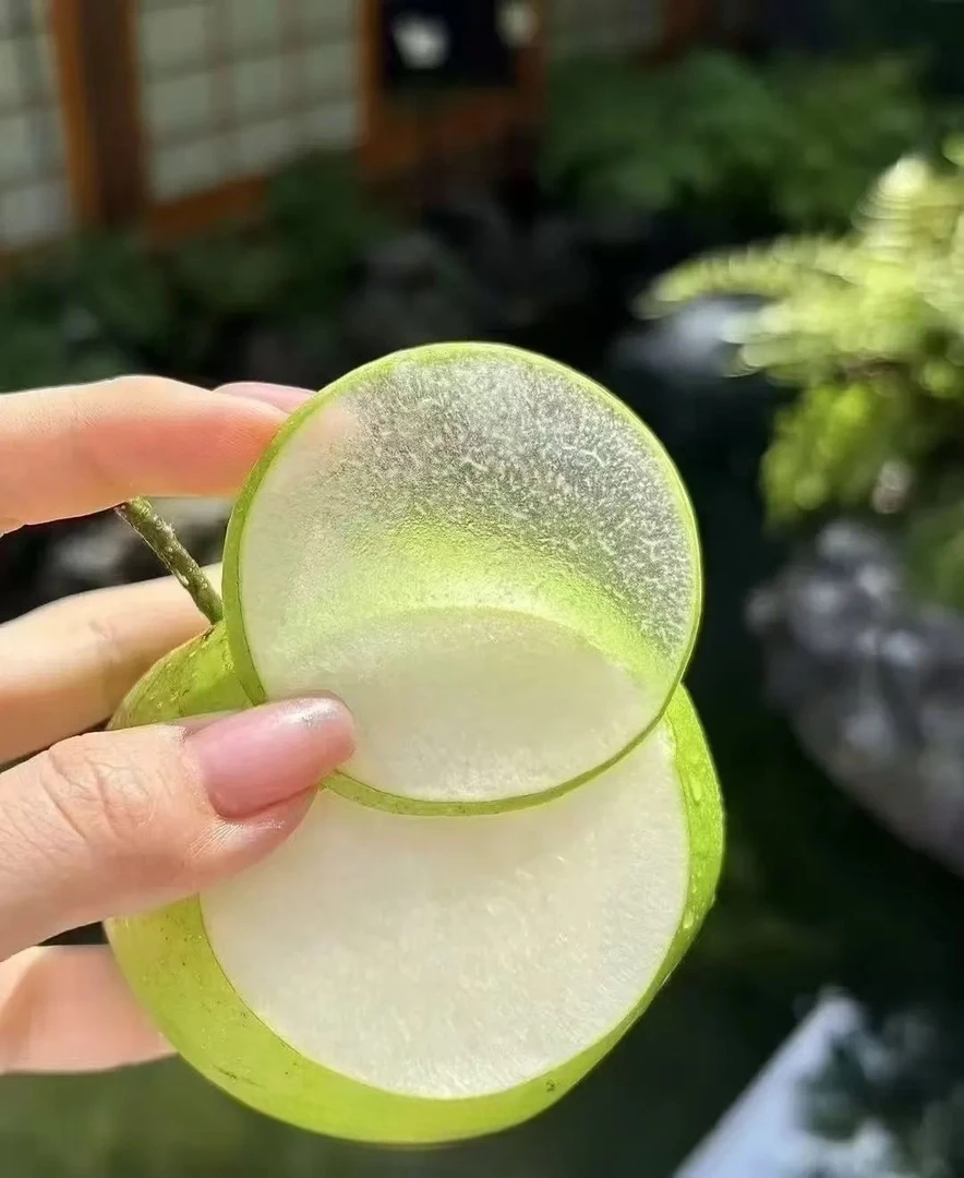 湖北宜昌百里洲砂梨自产自销12个礼盒装