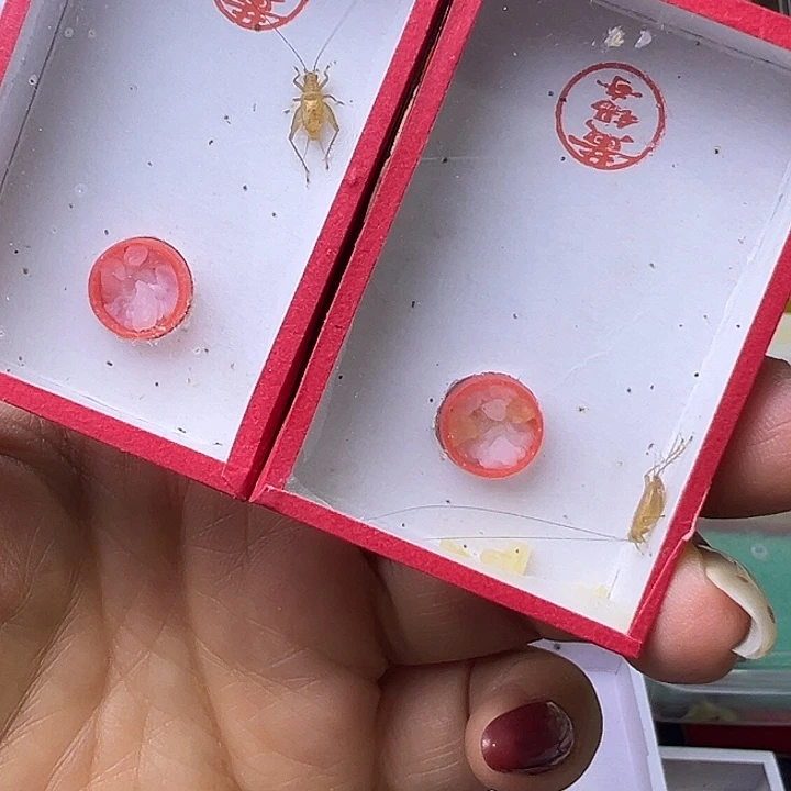 开***！哈哈哈哈哈哈哈哈哈哈哈哈哈