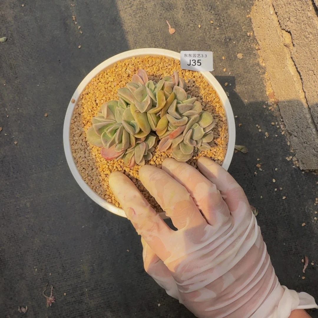 j j j j j j j j j j j 35