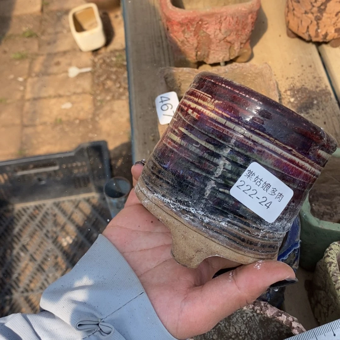 红陶小****望24号多肉花盆