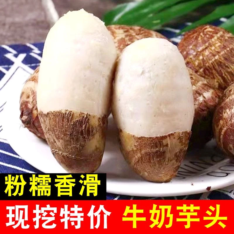 【今年新芋头】贵州牛奶小芋头新鲜现挖毛芋奶香芋软糯农家芋仔蔬菜