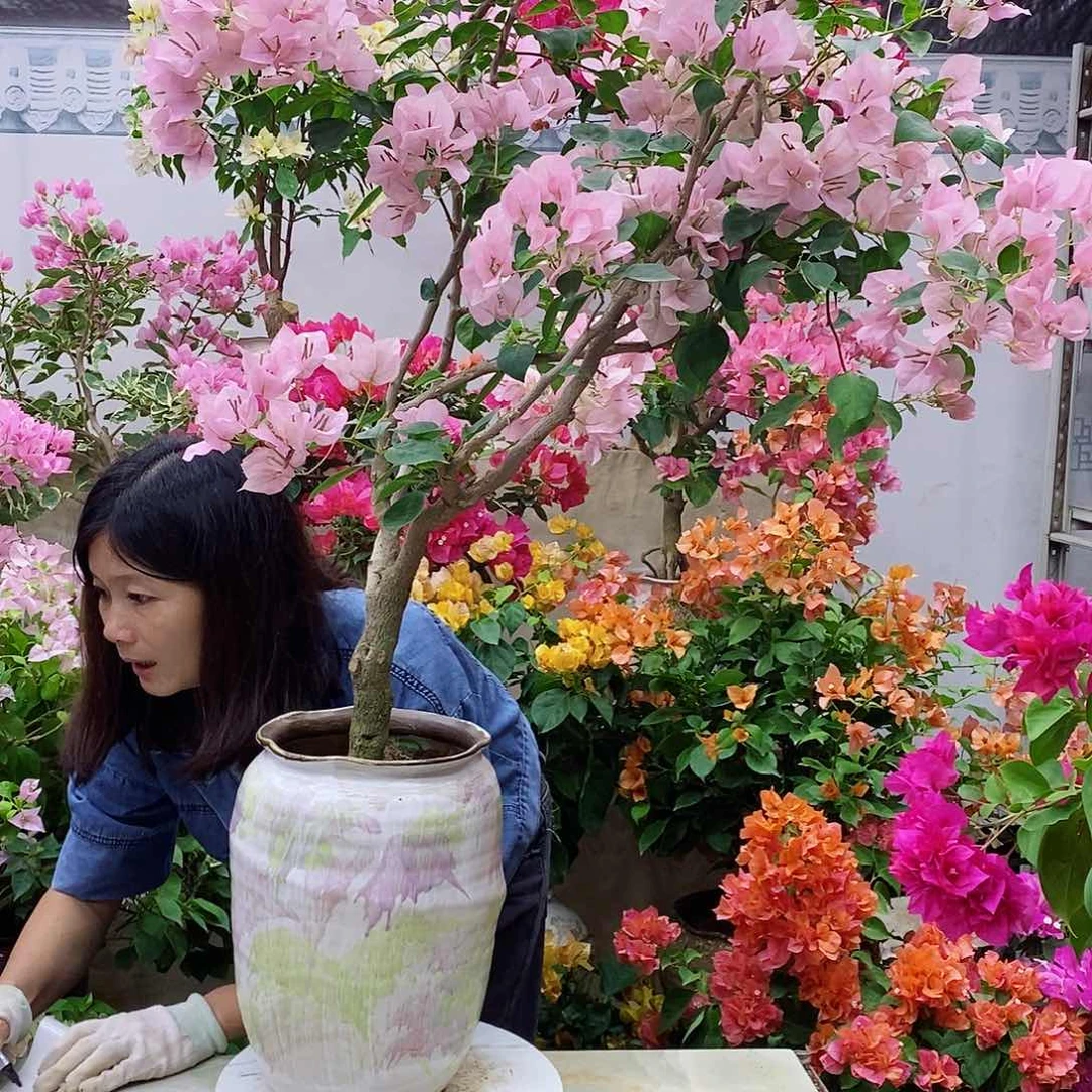 完全开放我要好好学习