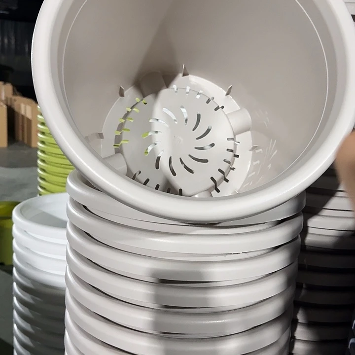 四季8号灰白无托5个特价微瑕