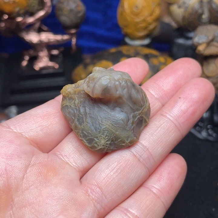 石材纯天然奇石原石57