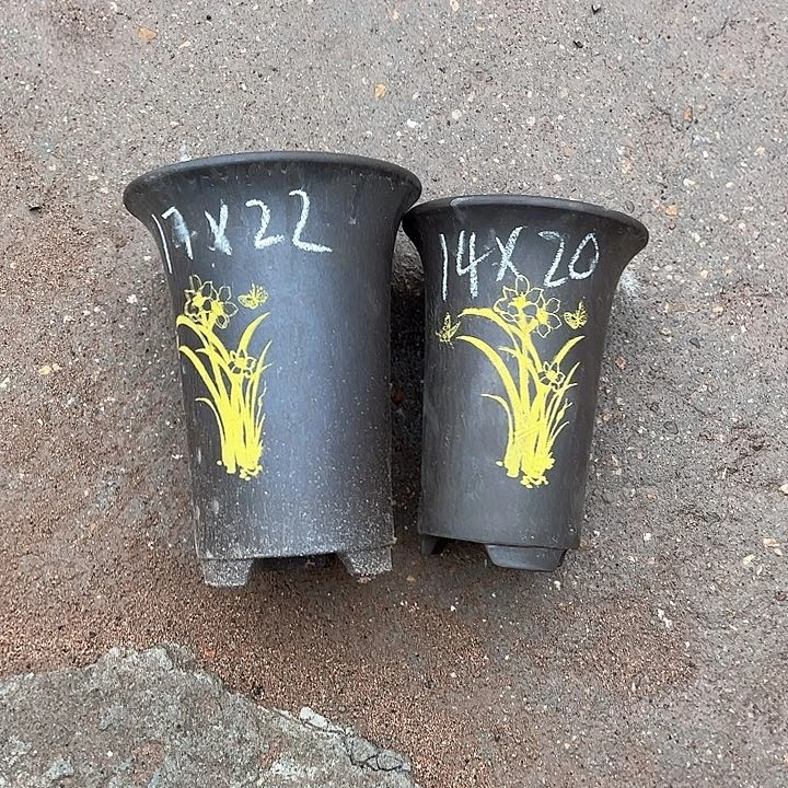 红陶紫砂艺术学院