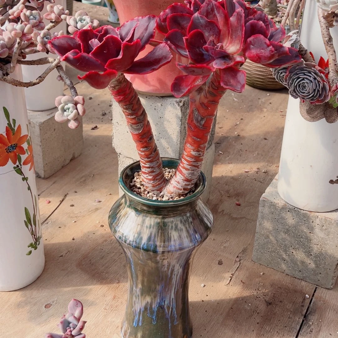 你是不是＇我的小可爱啊