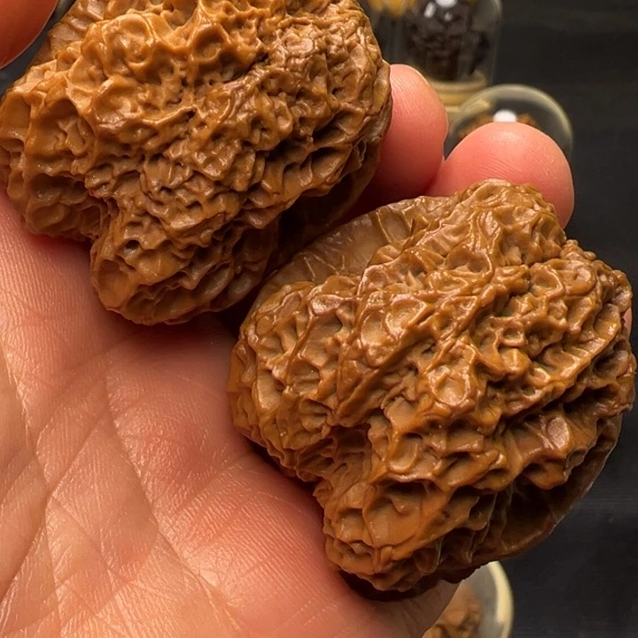 文玩核桃把件蛮荒古蟾45mm