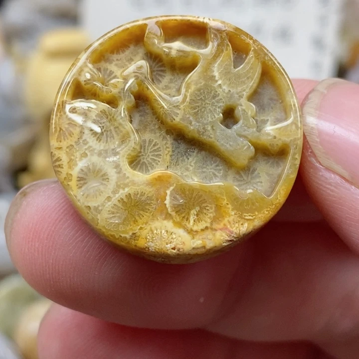 颈饰未镶嵌硅化珊瑚（珊瑚玉）小