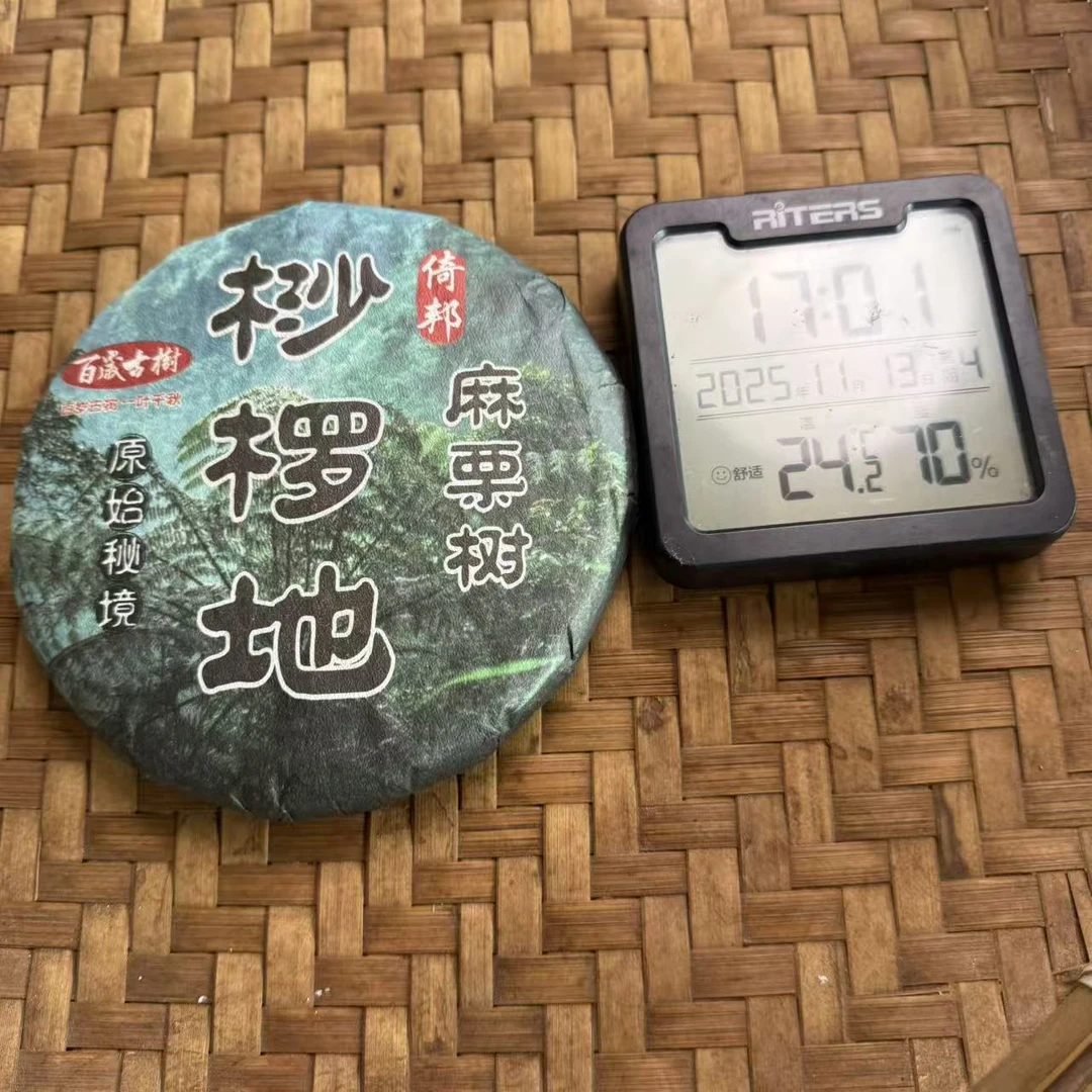 25年倚邦桫椤地麻栗树原始秘境古树普洱生茶饼200克RG8号11月13日