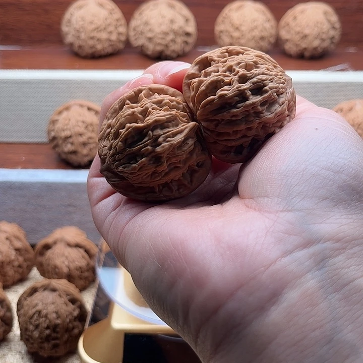 文玩核桃把件点关注。加灯牌。有效  麦穗虎头。