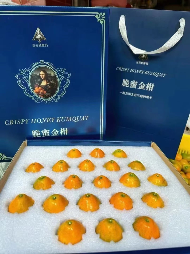 广西脆皮金桔鲜果融安脆蜜金桔脆蜜金柑