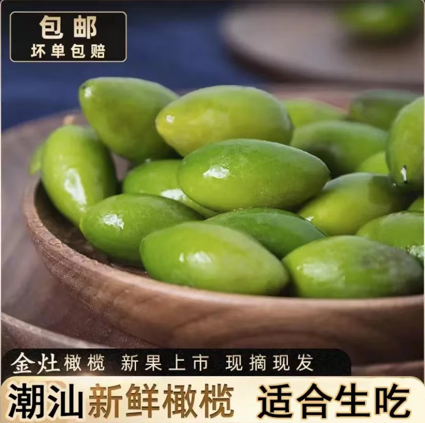 潮汕正宗特色青枣脆橄榄生吃煲汤新鲜采摘2斤包邮