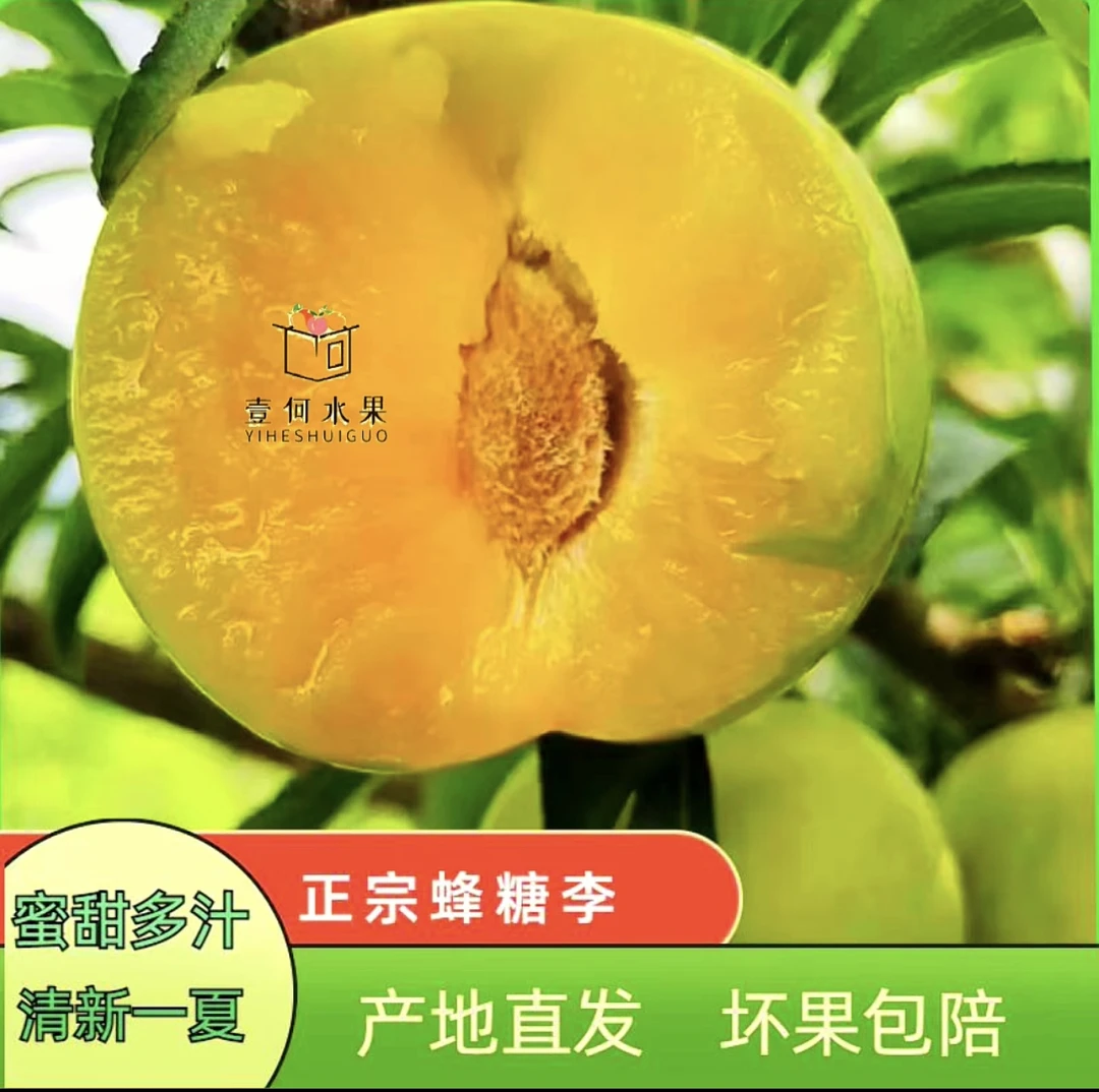 【壹何水果】贵州六马蜂糖李顺丰包邮产地直发欢迎下单选购