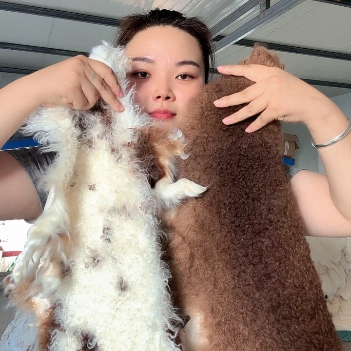 便携羊皮2张羊羔皮