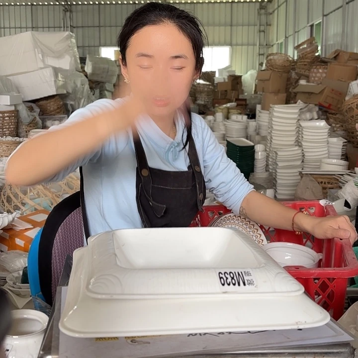 碟工厂库存微瑕产品839