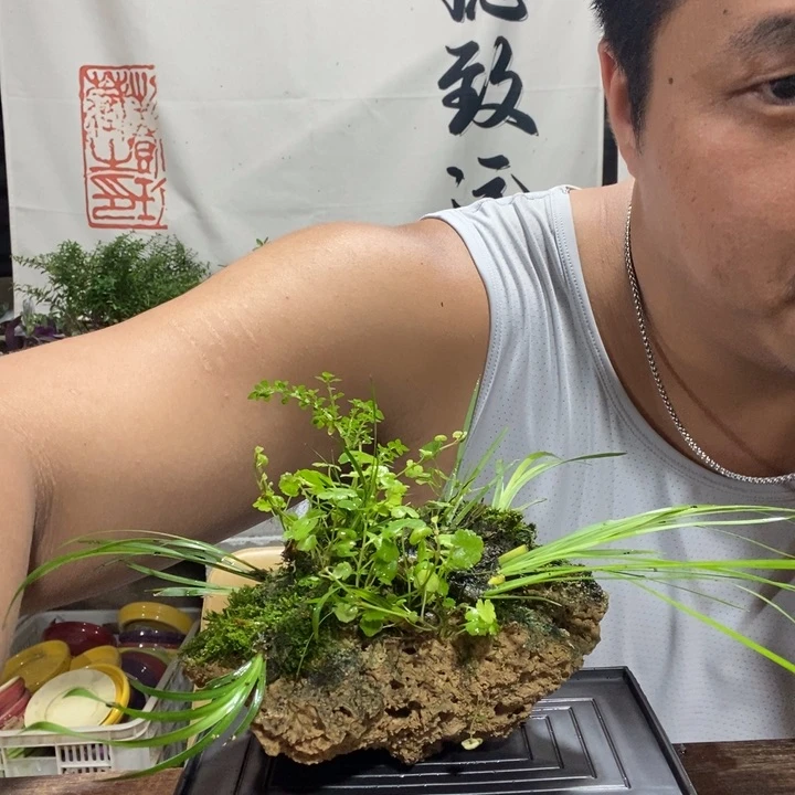 一物一拍所见即所得276