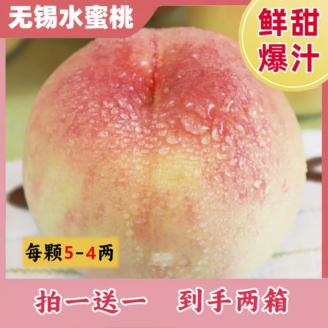 【拍一箱送一箱】5-4两无锡水蜜桃现摘新鲜超甜当季整箱桃子礼盒桃当季新鲜水果桃子江苏省
