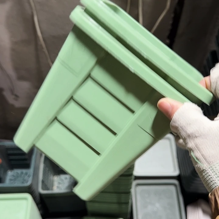 方16口径10个无托浅绿