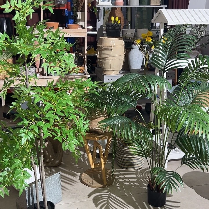 拍品大福利大福利