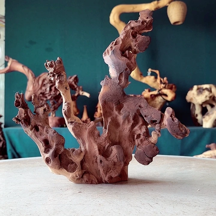 黑果木l*z895 金丝红木羊蹄甲半成品经典款特价雷击木