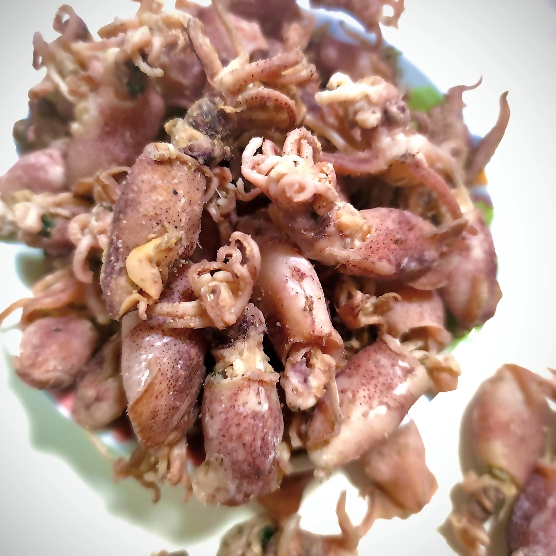 小籽乌带籽海兔干带籽笔管鱼500g小墨鱼仔乌贼鱼干海鲜干货新鲜