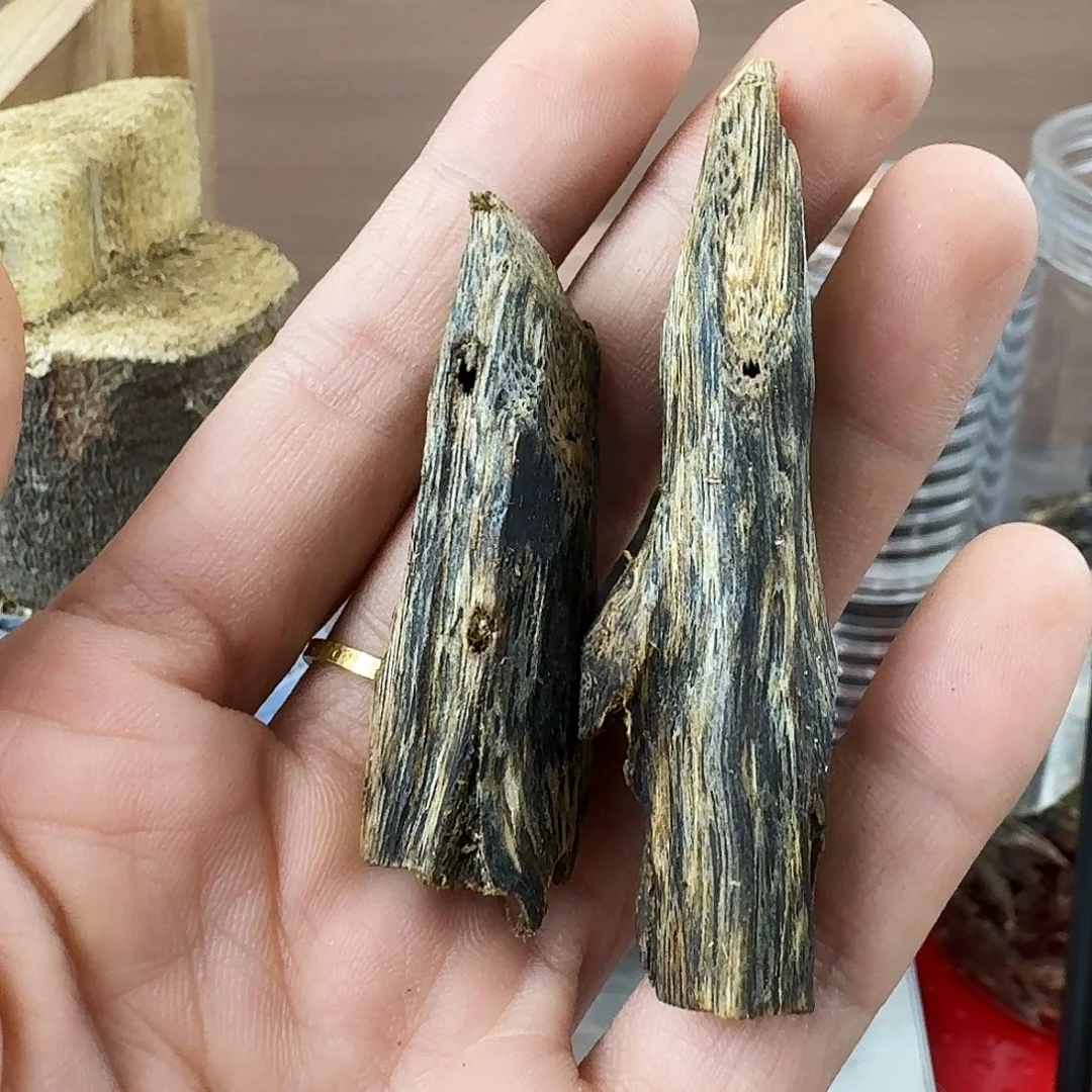 香料绿奇楠虫漏陆河7克