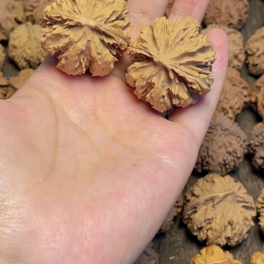 小***洋桃核把件1 秦岭灯笼野生小众