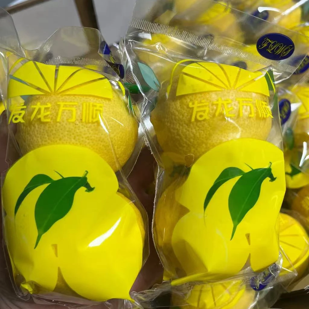 四川安岳柠檬一袋2枚240克