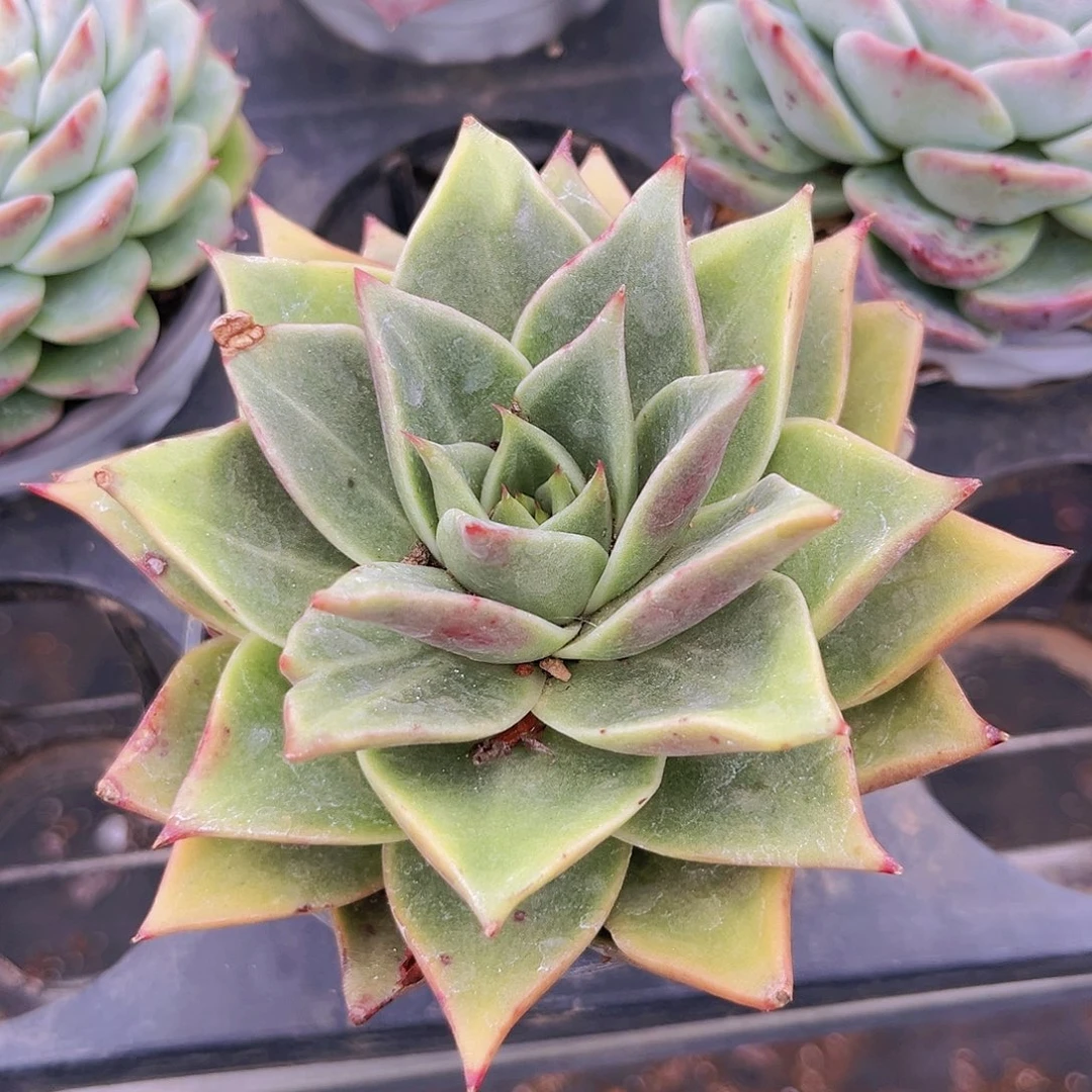 32号78888万999888的时候9888