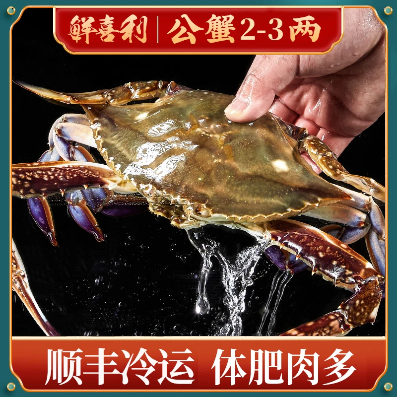 【美人鱼】公蟹梭子蟹3两左右/只12只3斤左右含赠品不可清蒸【冻蟹】