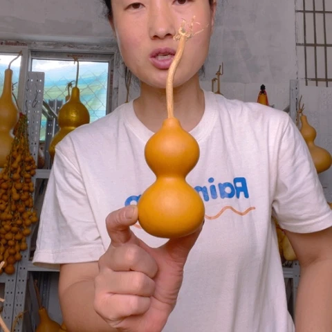 追*天然植物葫芦文玩