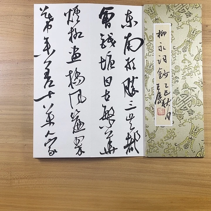 书法中书协会员作品