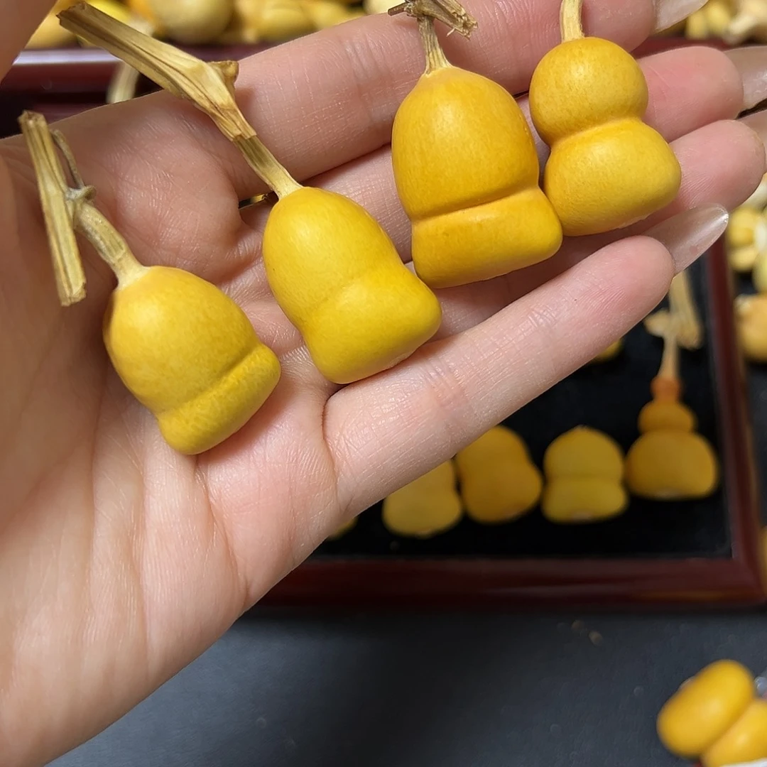 糖**赞葫芦葫芦葫芦葫芦