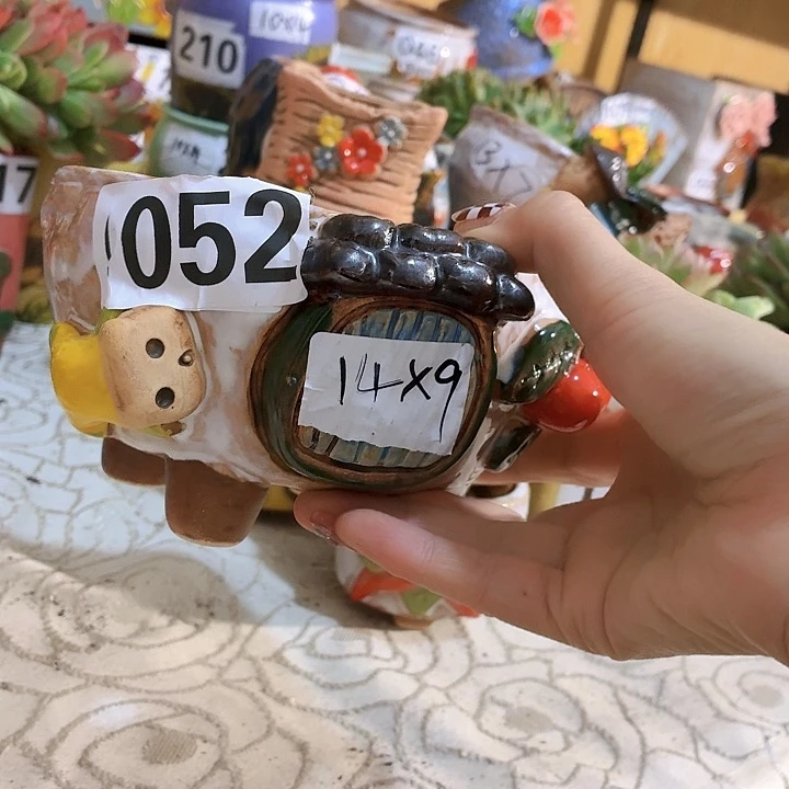 多肉花盆满15包邮