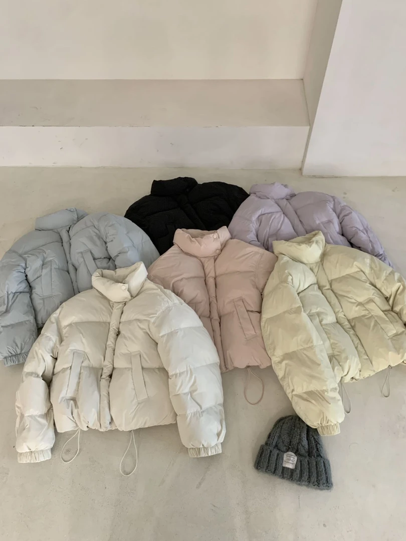 2025冬季新款韩版小个子好看显瘦短款羽绒服女立领白鸭绒加厚外套