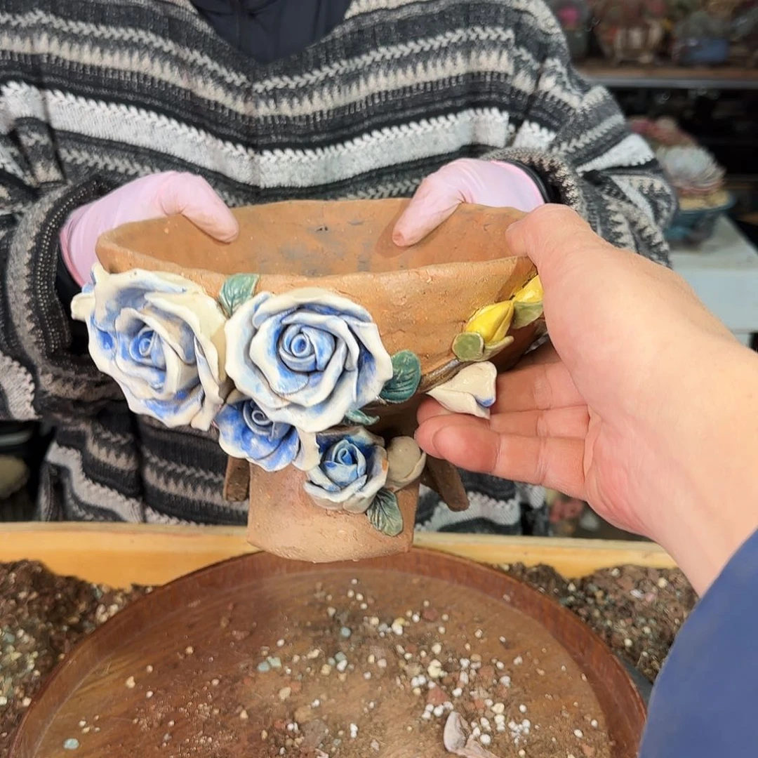 崽*崽崽，盆80           瑕盆