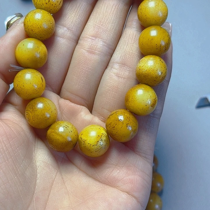 大果紫檀（缅甸花梨）