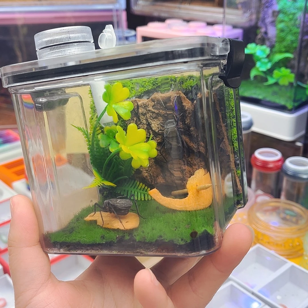 生态箱送两电报铃