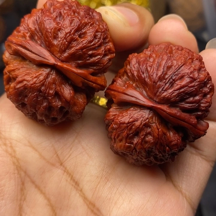 文玩核桃把件39尺铁狮子