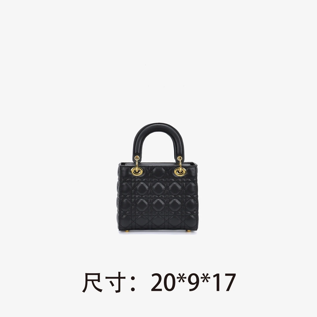 【D105】戴妃包-新款女包斜挎包百搭单肩包（尺寸20*9*17）