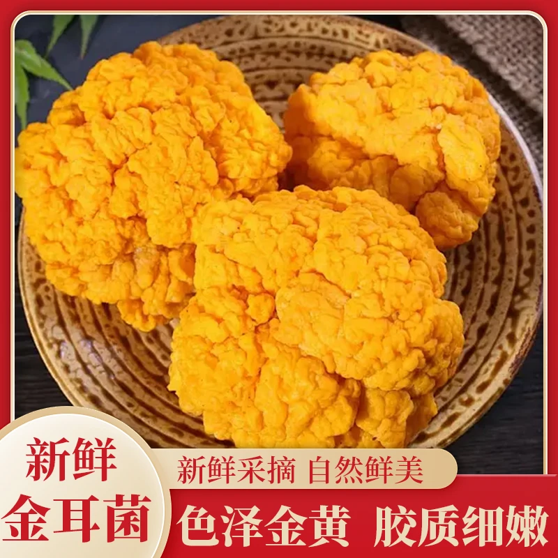 新鲜金耳菌现采高原黄金银耳500g精选优质新鲜刺身菌营养软糯素肉