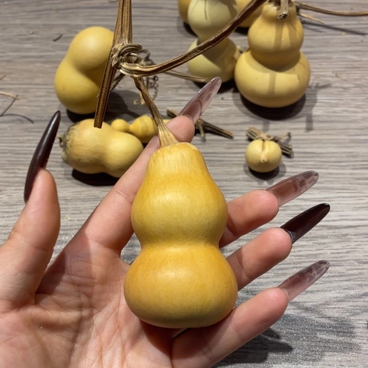 关***画葫芦葫芦葫芦葫芦